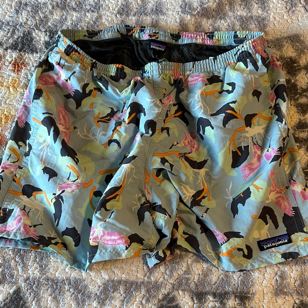 Patagonia men’s Colorful Athletic Shorts